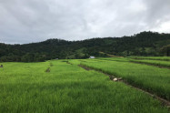 Chiang Khong 2 Scaled
