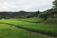 Chiang Khong 4 Scaled