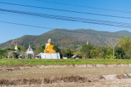 Phrao 5 Scaled