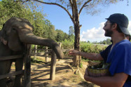Blue Daily Elephant Care 11