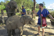 Blue Daily Elephant Care 12