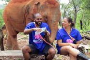 Blue Daily Elephant Care 4