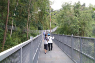 Canopy Walkway Chiang Mai 1 1 Scaled
