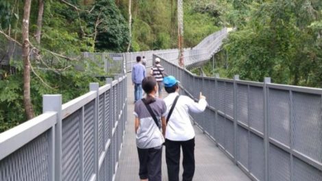 Canopy Walkway Chiang Mai