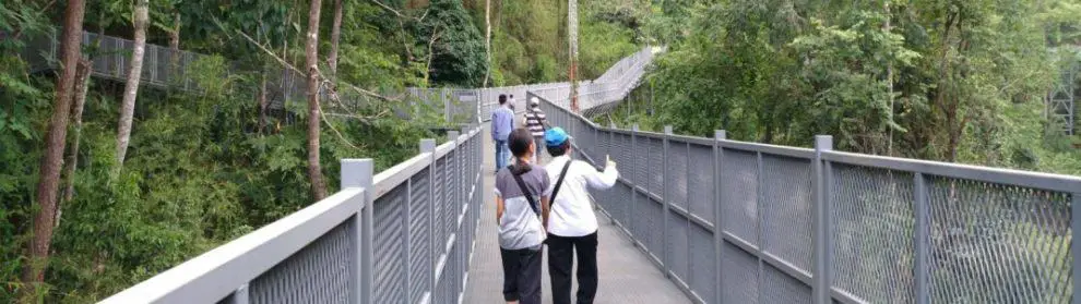 Canopy Walkway Chiang Mai