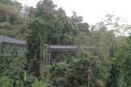 Canopy Walkway Chiang Mai 2 Scaled