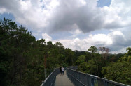 Canopy Walkway Chiang Mai 3 Scaled