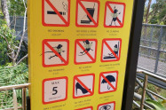 Canopy Walkway Chiang Mai 5 Scaled