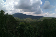 Canopy Walkway Chiang Mai 7 Scaled