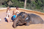 Chang Sanctuary 10