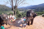 Chang Sanctuary 11