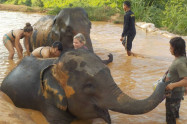Chang Sanctuary 12 1