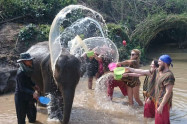 Chang Sanctuary 3
