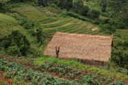 Chang Sanctuary 4