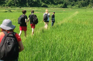 Chang Sanctuary 5