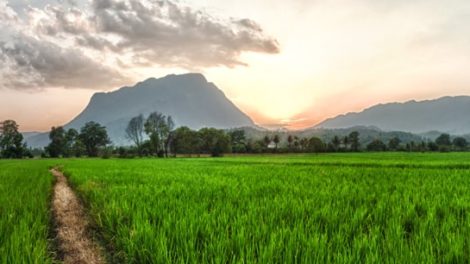 Chiang Dao National Park