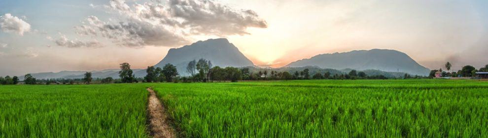 Chiang Dao National Park