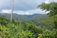 Chiang Dao National Park 3