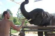 Chiang Mai Elephant Legend 11