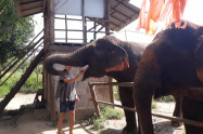 Chiang Mai Elephant Legend 12