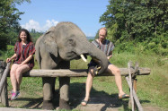 Chiang Mai Elephant Legend 14 1
