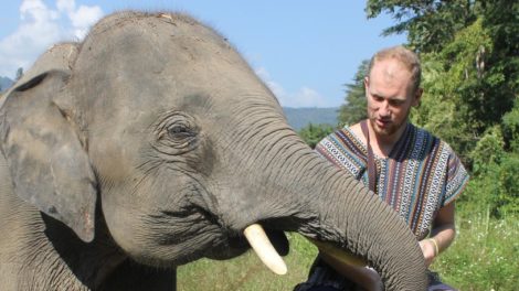 Chiang Mai Elephant Legend