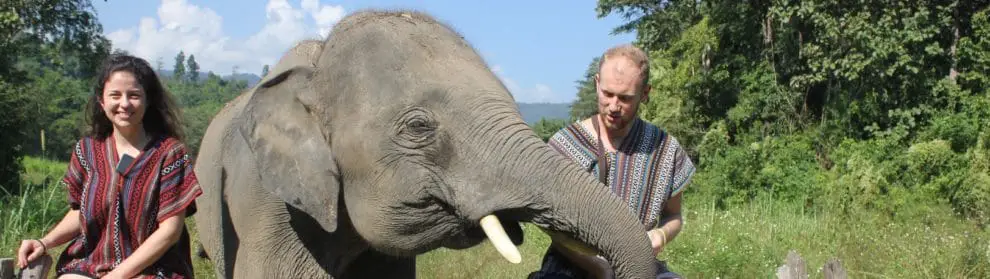 Chiang Mai Elephant Legend