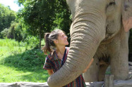 Chiang Mai Elephant Legend 3