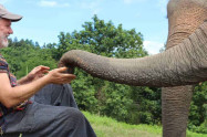 Chiang Mai Elephant Legend 4