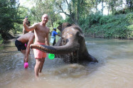 Chiang Mai Elephant Legend 9