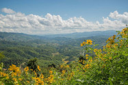 Doi Hua Mae Kham 1 Scaled