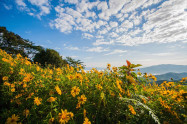 Doi Hua Mae Kham 2