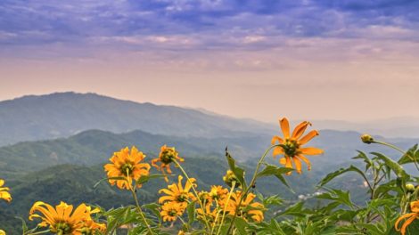 Doi Hua Mae Kham