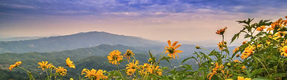 Doi Hua Mae Kham