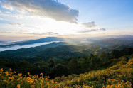 Doi Hua Mae Kham 5