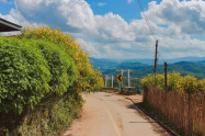 Doi Hua Mae Kham 7 Scaled