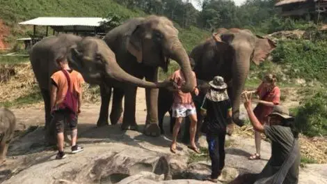 Doi Inthanon Elephant Park