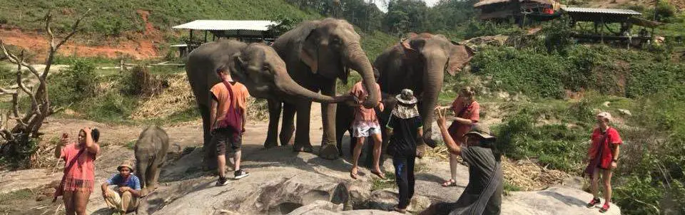 Doi Inthanon Elephant Park