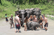 Doi Inthanon Elephant Park 4 Scaled