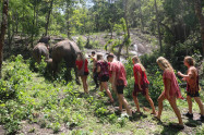 Doi Inthanon Elephant Park 5 Scaled