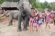 Doi Inthanon Elephant Park 6