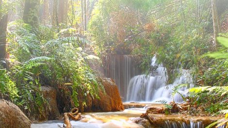 Doi Luang National Park