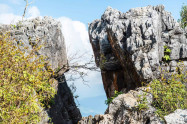 Doi Pha Tang 14 Scaled