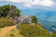 Doi Pha Tang 5 Scaled