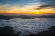 Doi Pha Tang 7 Scaled