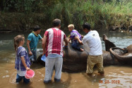 Elephant Discovery Chiang Mai 5