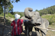 Elephant Dream Valley 1