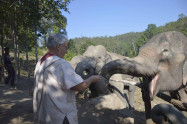Elephant Dream Valley 4