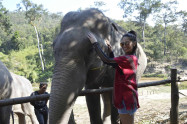 Elephant Dream Valley 5