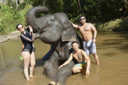 Elephant Dream Valley 6